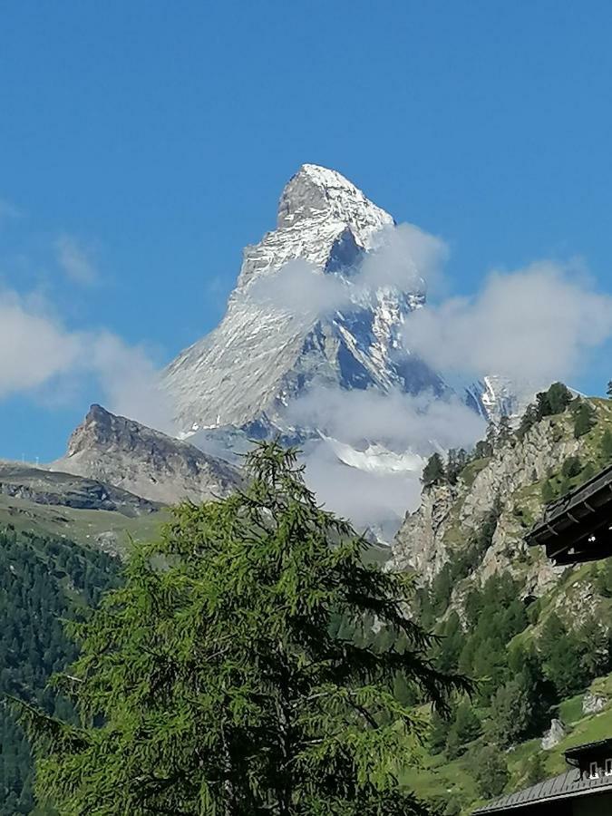 Petit Helvetia Budget Hotel Zermatt Exterior foto
